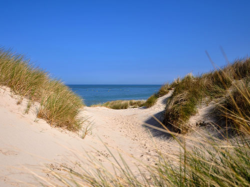 Les Dunes de Flandre | Syndicat Intercommunal pour le littoral