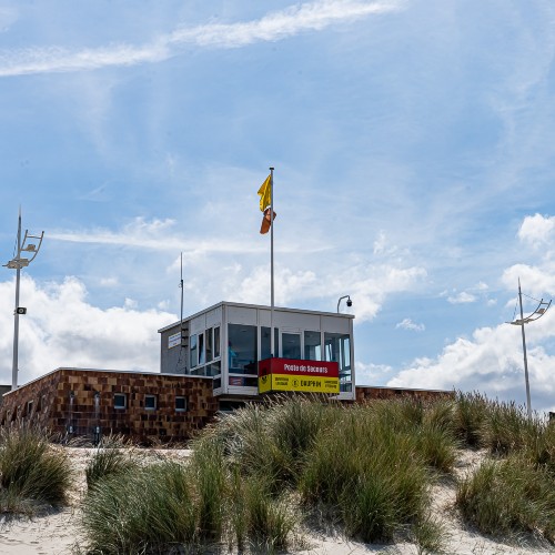 Poste Dauphin 08 (15) (1)